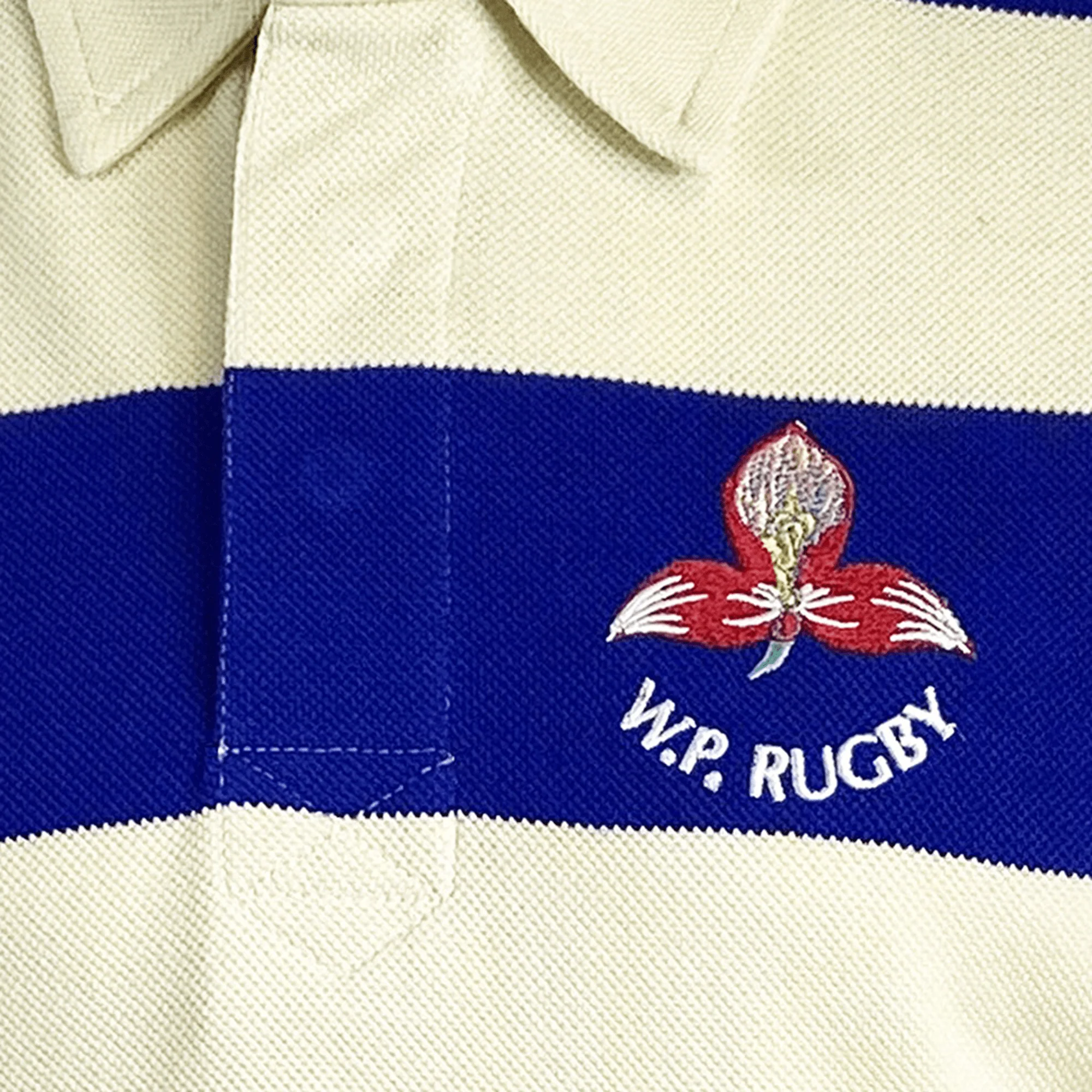 Ellis Rugby Western Province Vintage Polo - Image 3