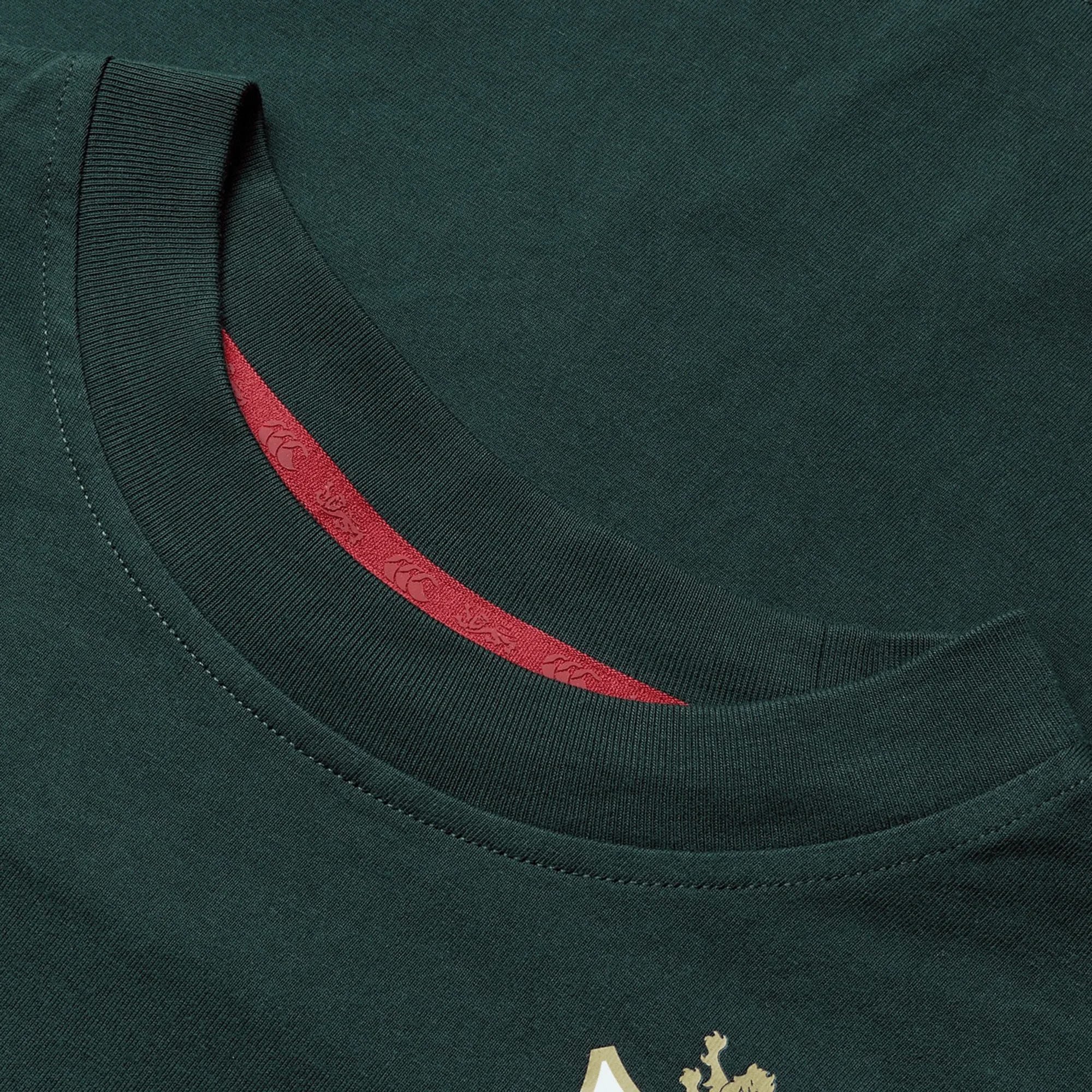 Women's British & Irish Lions 25 Cotton Jersey Tee by Canterbury - Image 17